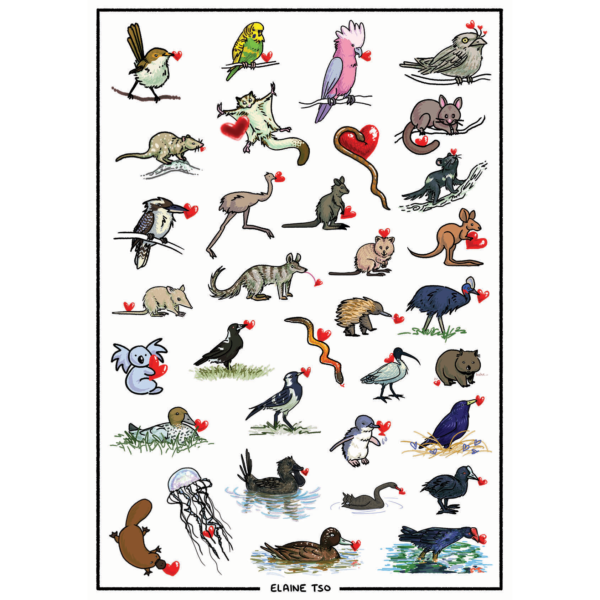 Artwork of a collection of Australian animals.