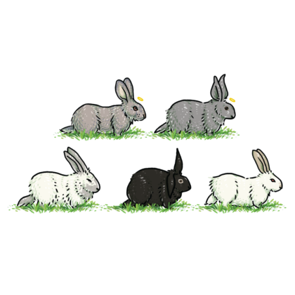 A digital illustration of five bunnies.