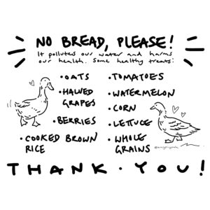 A poster for advising people to not feed ducks bread, but other healthy treats like oats.